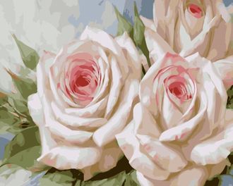 Картина по номерам 40х50 GX 34547 Белые розы