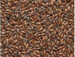 Солод Шоколадный 900 EBC, Курский солод (Россия), 1 кг