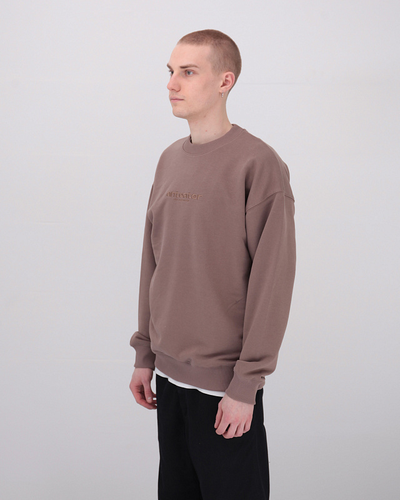 Толстовка Оверсайз Anteater Crewneck Кофейная