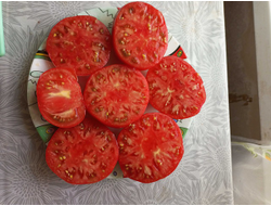 Томат Сладкая свекла (Dulcea de Fagaras), Италия