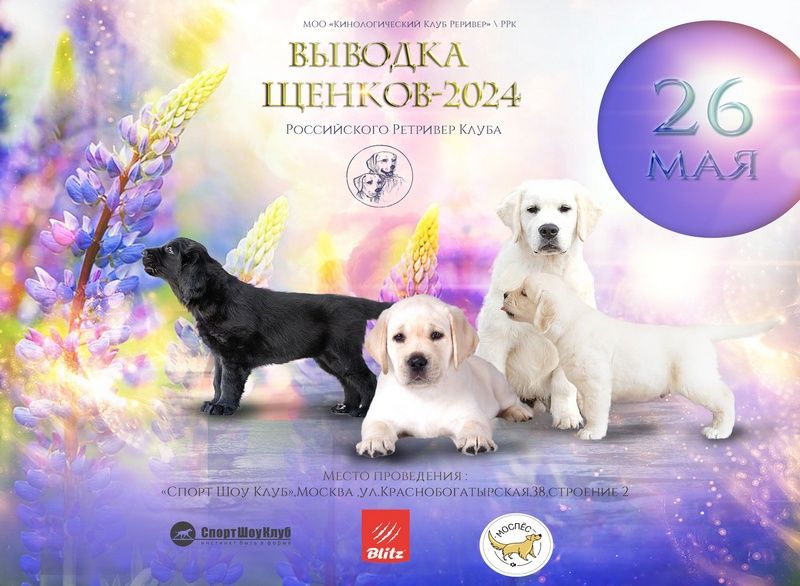 Приглашаем на выводку щенков