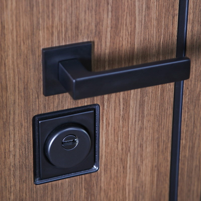 Стальная дверь   Фаворит с матовым зеркалом. Заказная модель.