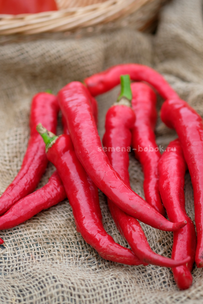 Перец сладкий ДЖИММИ НАРДЕЛЛО, 10 шт