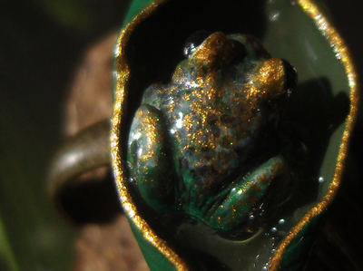 "После дождя", необычное кольцо с тропической лягушкой