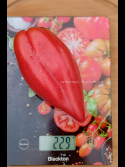 Томат Тюльпан Розовый, 5 шт