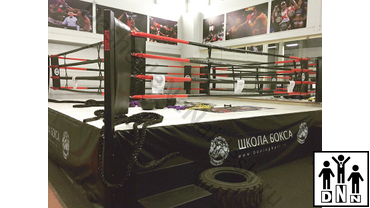 профессиональный боксерский ринг