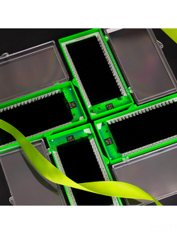 Le Maitre Ресницы Excellent 20 линий C 0.10 12 mm черные Ле Мат