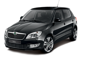 Чехлы на Skoda Fabia II (2007-2013)