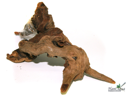 Натуральная коряга "Коралловая" XXS 10-25 см