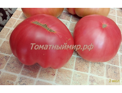 Томат Силезская малина (Schlesische Himbeere), Германия