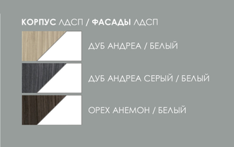 БАРСЕЛОНА Шкаф Ш3 с зеркалом