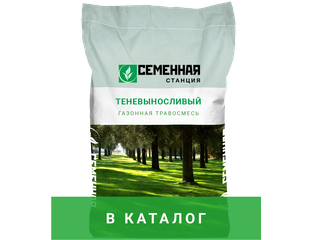 Теневыносливый газон - купить семена теневыносливого газона от ...