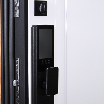 Стальная дверь   Plata (биометрический замок Smart lock Y23)