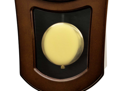 Настенные часы Rhythm CMJ576NR06