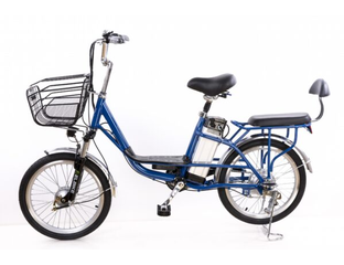 Купить электровелосипед Elbike Duet в Москве | Электровелосипед с ...
