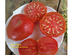 Томат Rose Hippo (Розовый бегемот)