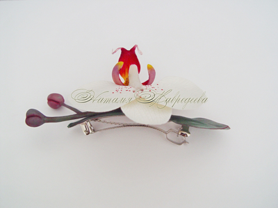 Орхидея "Летнее настроение"