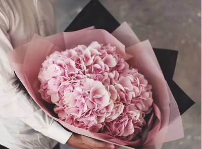 5 розовых гортензий