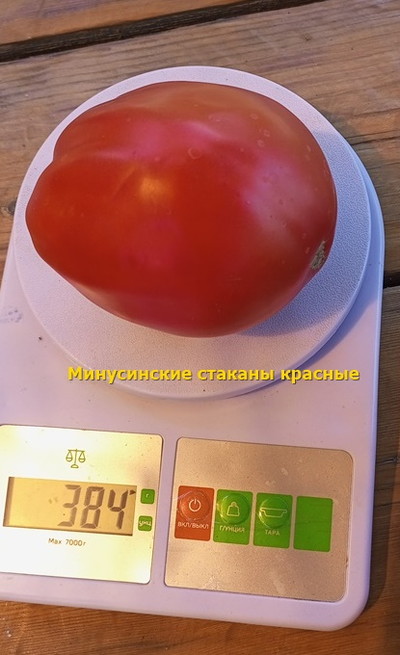 Томат Минусинские стаканы красные