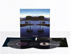 Bruce Dickinson - Skunkworks 2-LP