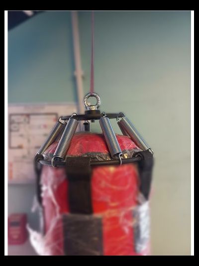 Подвеска для боксерского мешка пружинная AV825/80 (AVN07)