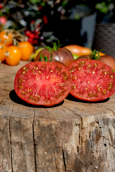 Томат Муаровый Закат, 10 шт