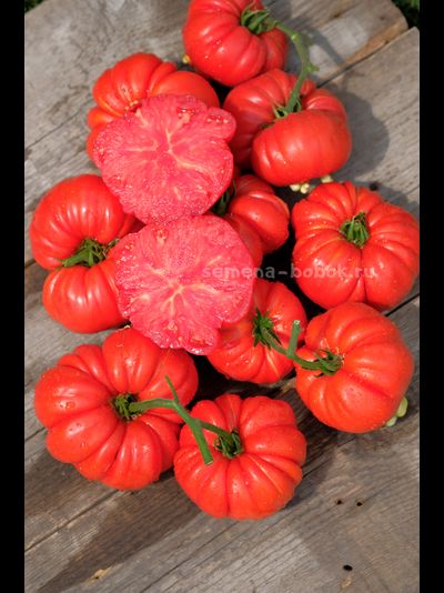 Томат Riccio Di Parma (Кудрявый из Пармы), 10 шт