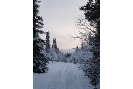 Зима | Маршрут «Сердце Хибин»