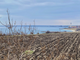 ID-183 ТРЁХКОМНАТНАЯ квартира с ВИДОМ НА МОРЕ в комплексе "Rutland Beach 2"