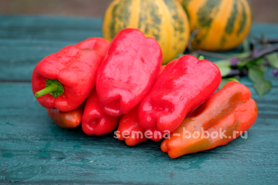 Перец сладкий Суши, 10 шт