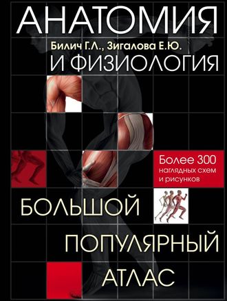 Анатомия и физиология. Большой популярный атлас. Габриэль Билич, Елена Зигалова. &quot;ЭКСМО&quot;. 2021