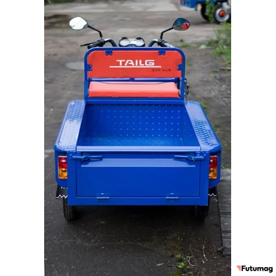 Грузовой электротрицикл TaiLG TL650