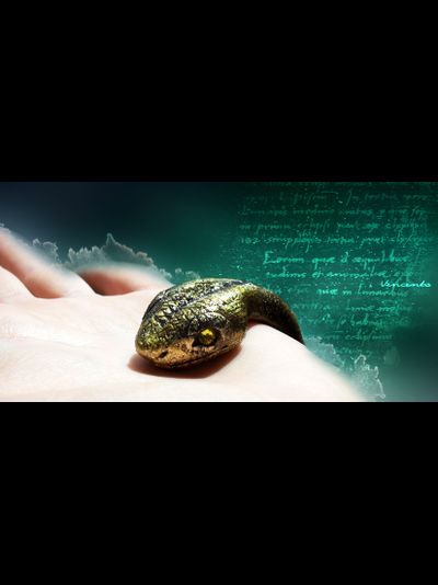 Красивый браслет в виде золотой змейки