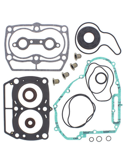 Полный комплект прокладок двигателя (с сальниками) Winderosa 811945 для Polaris Sportsman 700 (2004-2007), Ranger 700 (2005-2009), Sportsman 800 (2005-2010), Ranger 800 (2008-2010), RZR 800(2008-2010)