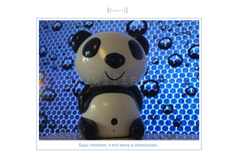 p2p WiFi видеокамера с встроенным видеорегистратором. DE-Wpanda. Ночное видение.