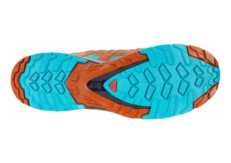 Кроссовки SALOMON XA PRO 3D v8 Bistre/Navy Blaz  409873  (Размер: 7; 7,5; 8; 9)