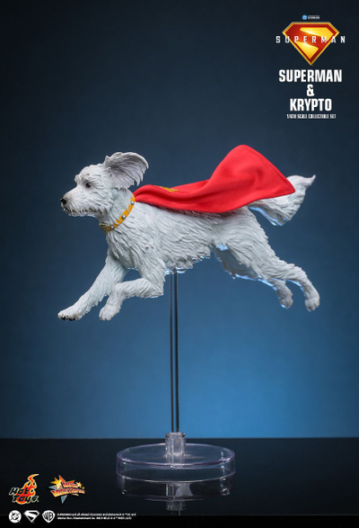 ПРЕДЗАКАЗ - Супермен (Дэвид Коренсвет, "Супермен" 2025 г)  - Коллекционная ФИГУРКА 1/6 Superman & Krypto (MMS812) -  Hot Toys ?ЦЕНА: 39800 РУБ.?