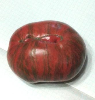 Семена томата Мятежный звездный истребитель основной биф