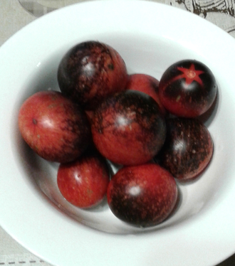 Семена томата Темная галактика