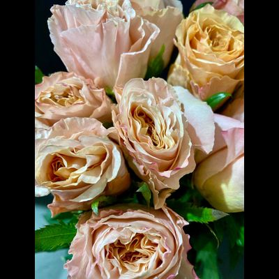 Роза Эквадор  70 см. 15 шт