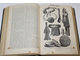 Большая энциклопедия. Том 2: Арбуа де Жюбанвиль – Беллингсгаузен. Под редакцией С.Н. Южакова. СПб.: `Просвещение`, 1900.