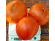 Томат Минусинские шары (усл)