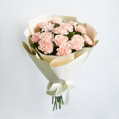 15 кремовых диантусов