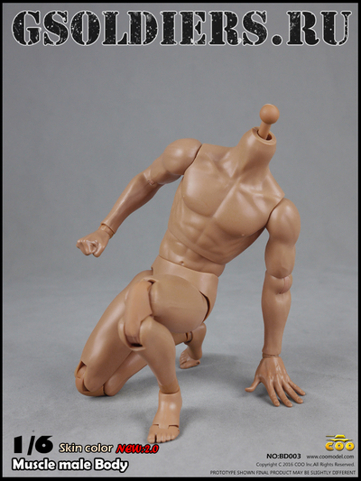 Тело мускулистое с шеей 1/6 - NEW:2.0 Body NO: BD003 - COOMODEL