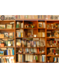 Фотофон виниловый «Библиотека»