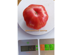 Томат Диковинный цветок розовый