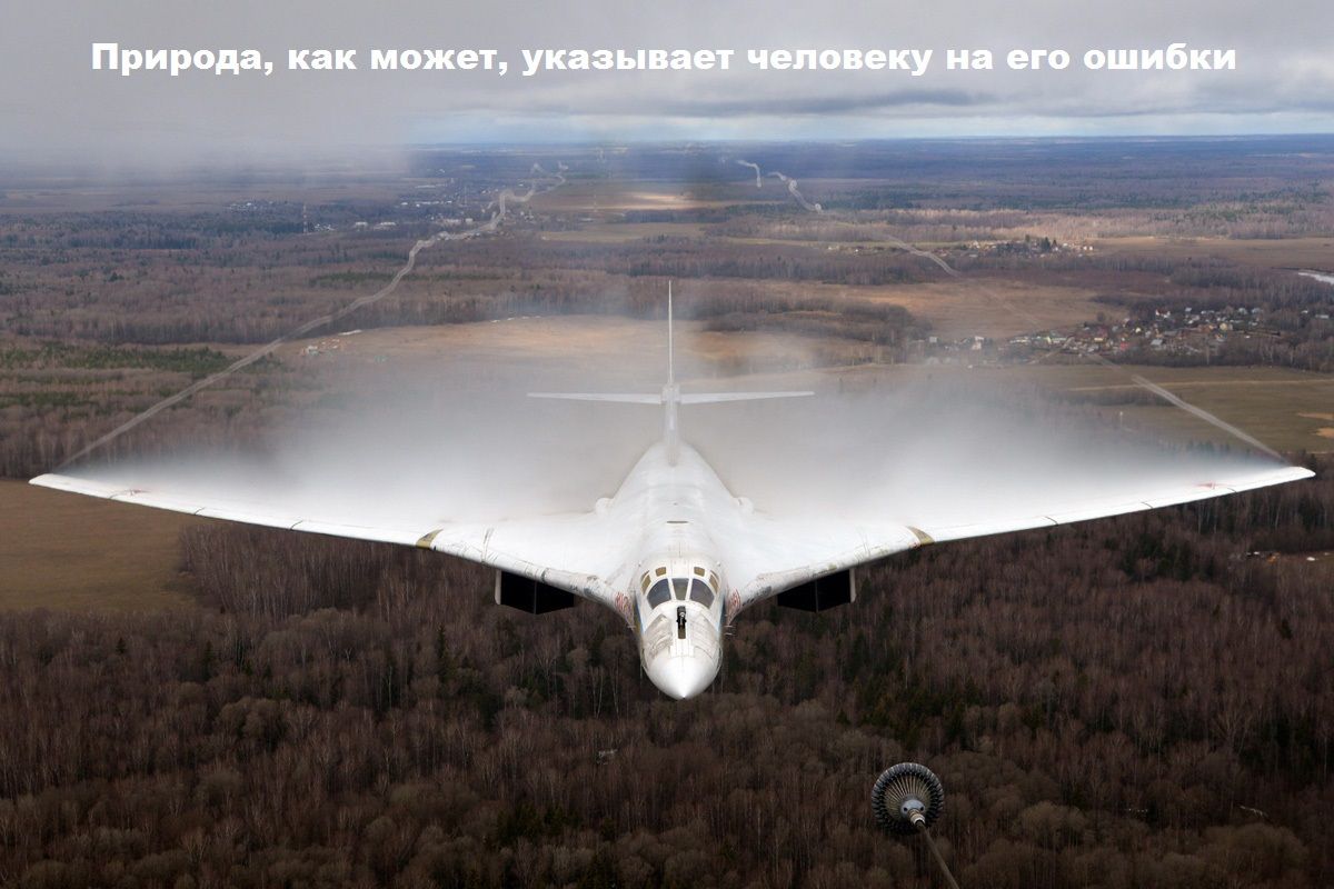 Природоподобные Технологии в самолетостроении