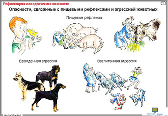 Опасные животные  (15 шт), комплект кодотранспарантов (фолий, прозрачных пленок, начальная школа