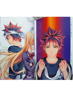 Оригинальный Арт Бук  Shokugeki no Soma - Last Fan Book (Повар-боец Сома)