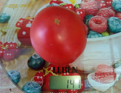 Томат Демидов